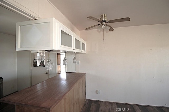 kitchen featuring ceiling fan and dark hardwood / wood-style flooring