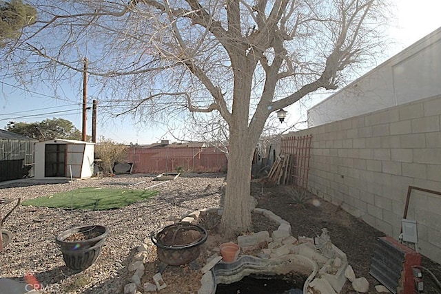 view of yard with a storage unit