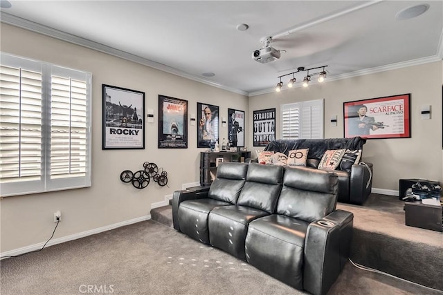 carpeted cinema room featuring crown molding and rail lighting