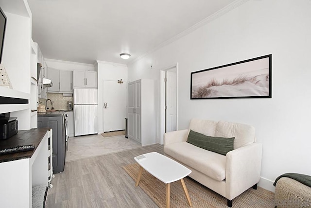 living room featuring sink, ornamental molding, and light hardwood / wood-style flooring