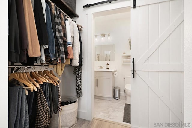 spacious closet featuring a barn door and light wood-type flooring