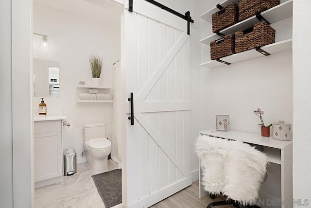 bathroom with toilet and vanity