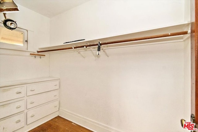 spacious closet featuring dark hardwood / wood-style floors