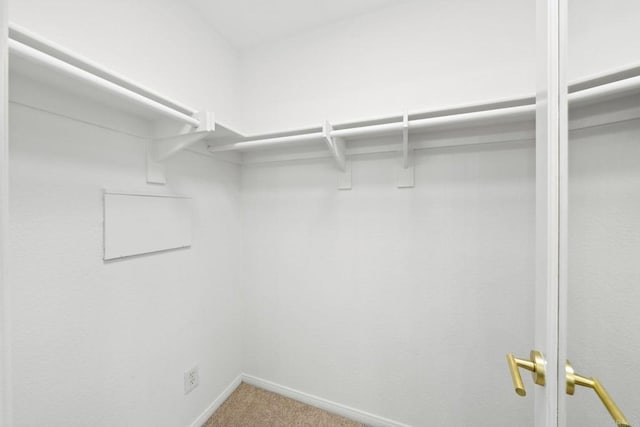 spacious closet with carpet floors