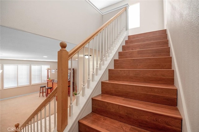 staircase featuring carpet floors