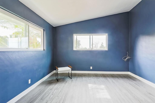 interior space featuring lofted ceiling and wood-type flooring