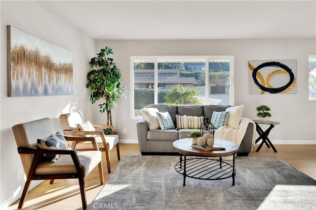 living room featuring hardwood / wood-style floors