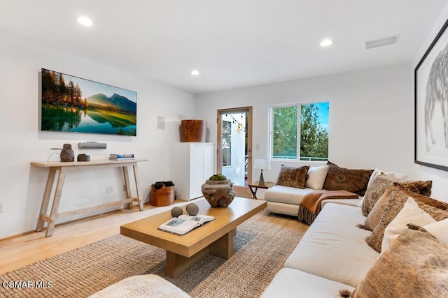 living room featuring light wood-type flooring