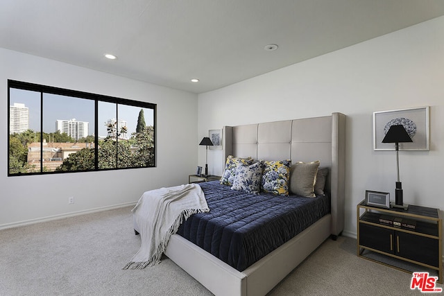 view of carpeted bedroom