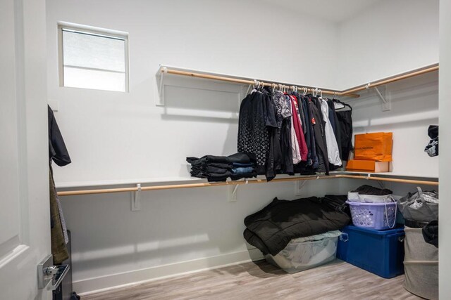 walk in closet with hardwood / wood-style flooring