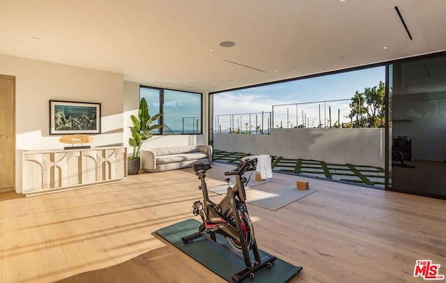 workout room featuring hardwood / wood-style floors