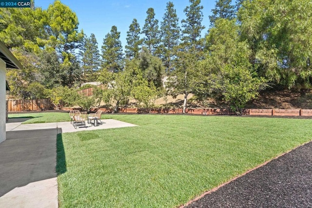 view of yard with a patio area