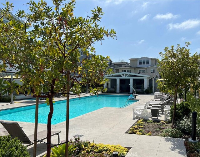 view of pool with a patio