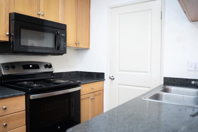 kitchen with black appliances and sink