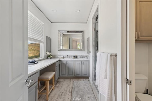 bathroom featuring toilet, hardwood / wood-style flooring, and vanity