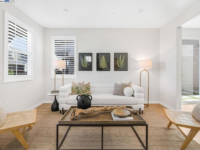 living room with light wood-type flooring