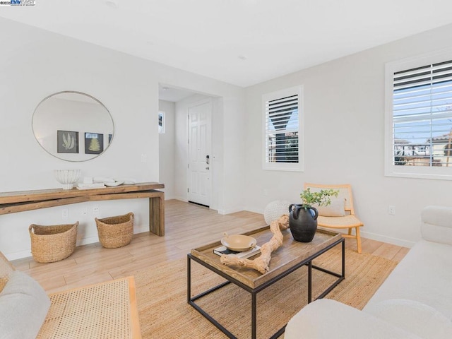 living room with light hardwood / wood-style flooring