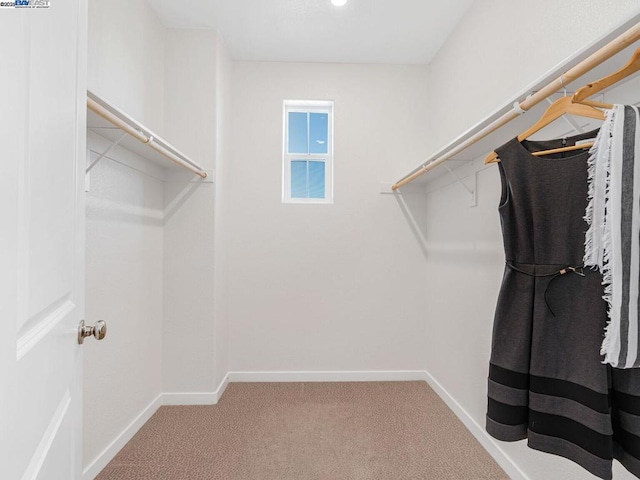 spacious closet with carpet floors