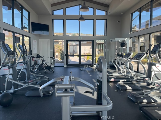 workout area with high vaulted ceiling