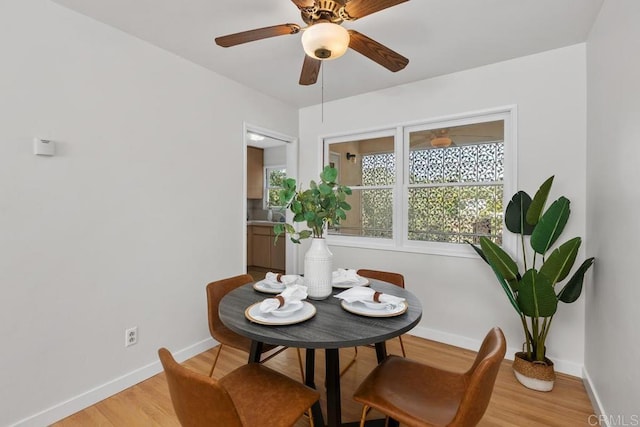 dining area featuring ceiling fan and light wood-type flooring