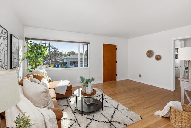 living room featuring wood-type flooring