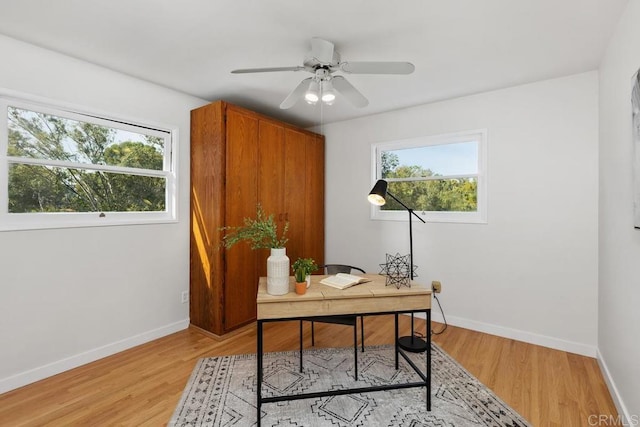 home office with ceiling fan, light wood-type flooring, and plenty of natural light