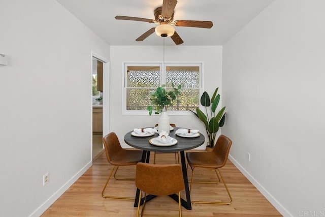 dining room with ceiling fan and light hardwood / wood-style floors