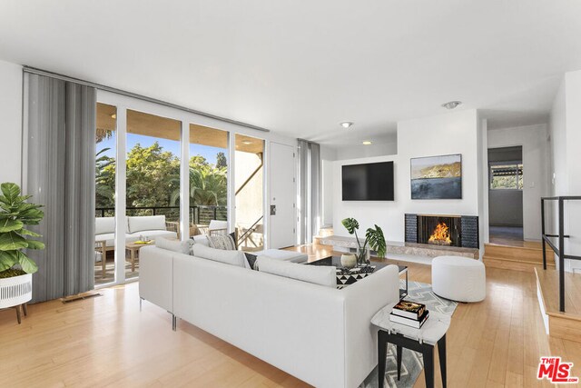 living room with a wealth of natural light, light hardwood / wood-style floors, and expansive windows