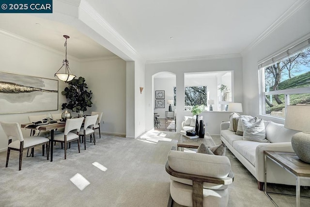 carpeted living room with crown molding