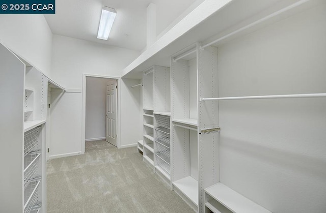 spacious closet featuring light colored carpet