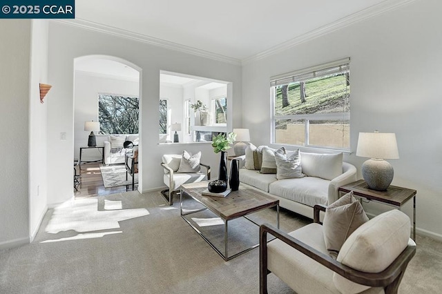 carpeted living room featuring crown molding