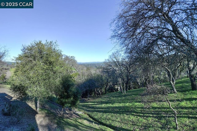 view of nature featuring a rural view