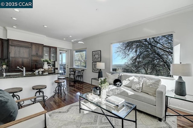 living room featuring crown molding and dark hardwood / wood-style floors