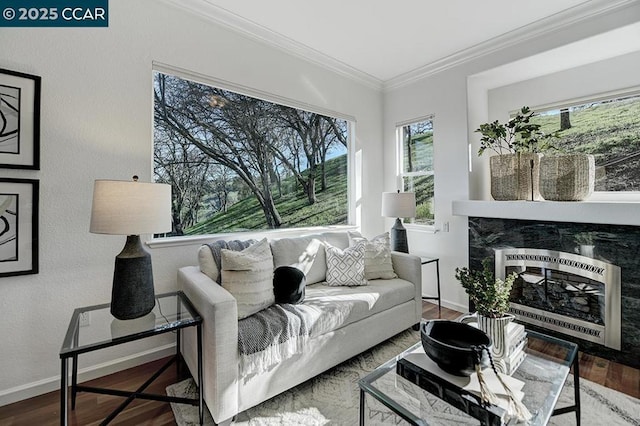 living room with crown molding, hardwood / wood-style floors, heating unit, and a premium fireplace