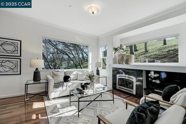 living room with hardwood / wood-style floors, a premium fireplace, and ornamental molding