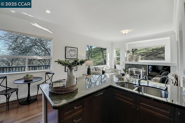 kitchen featuring sink, a healthy amount of sunlight, ornamental molding, and dark wood-type flooring