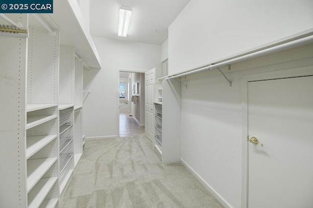 spacious closet with light colored carpet