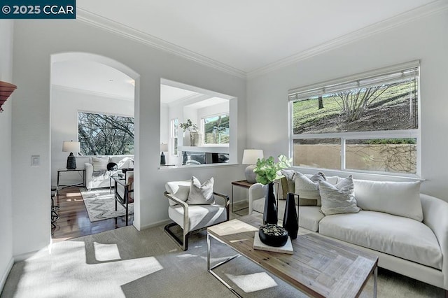 living room with ornamental molding