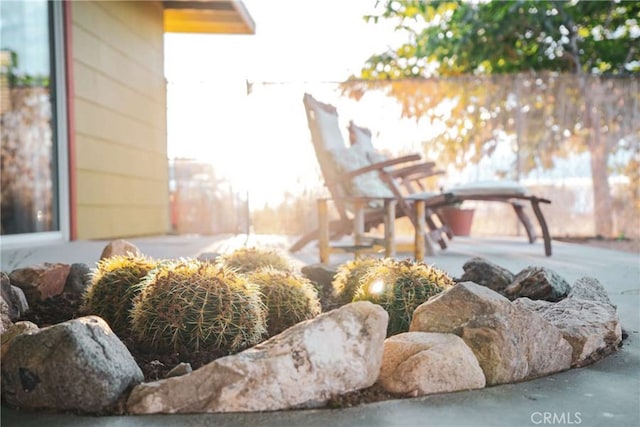 view of yard featuring a patio