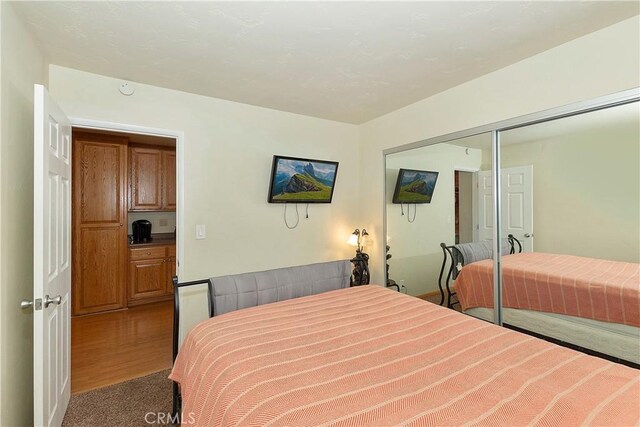 bedroom with a closet and carpet flooring