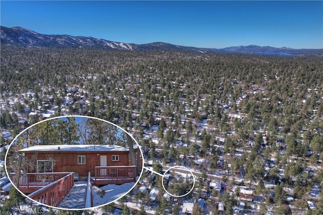 birds eye view of property with a mountain view