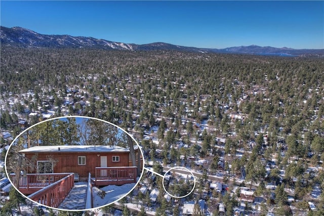 743 Spruce Ln, Sugarloaf, CA 92386 - photo 3