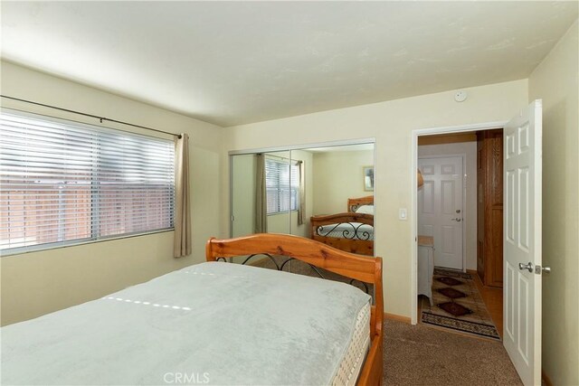 carpeted bedroom featuring a closet