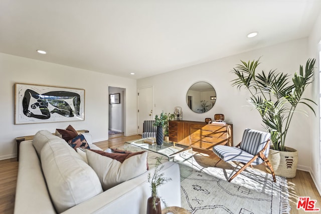 living room with hardwood / wood-style floors