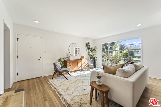 living room with light hardwood / wood-style floors