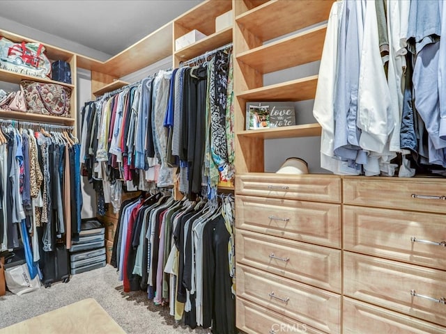 walk in closet with carpet flooring