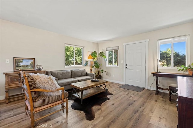 living room featuring light wood-type flooring