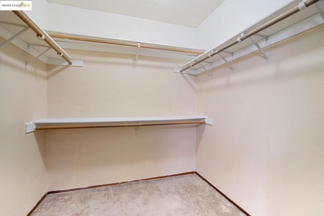 spacious closet featuring light colored carpet