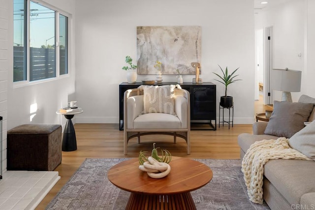 living room with light hardwood / wood-style floors