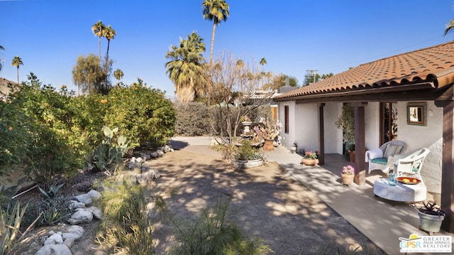 view of yard featuring a patio area